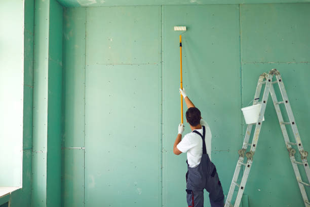 Professional Drywall and Painting Service in Kahului, HI